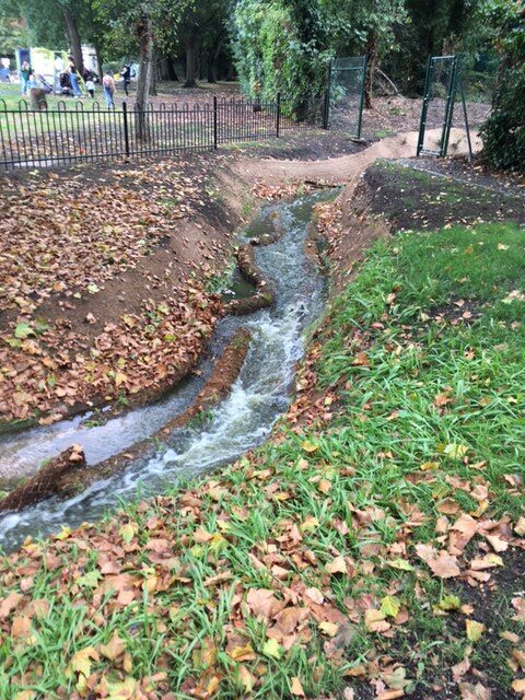 Bulletin Daylighted Brook At Work